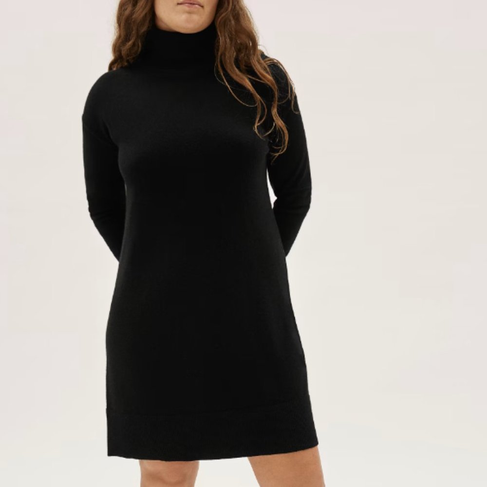 Everlane The Cashmere Turtleneck Dress in Black
